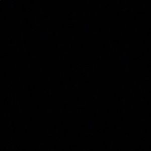 Meet your Posher, Sophia